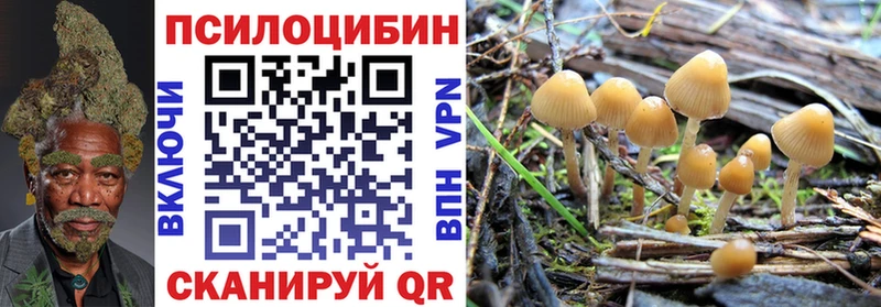 купить закладку  Дальнереченск  это клад  Галлюциногенные грибы ЛСД 