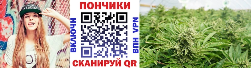 купить наркотик  Дальнереченск  Бошки Шишки THC 21% 